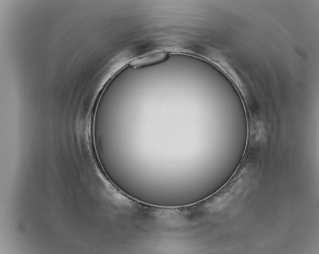 X0000112790909200908281504