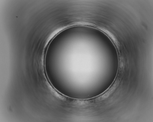 X0000112790910200908281504