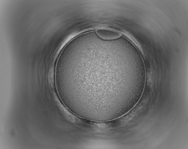 X0000112790911200908281504