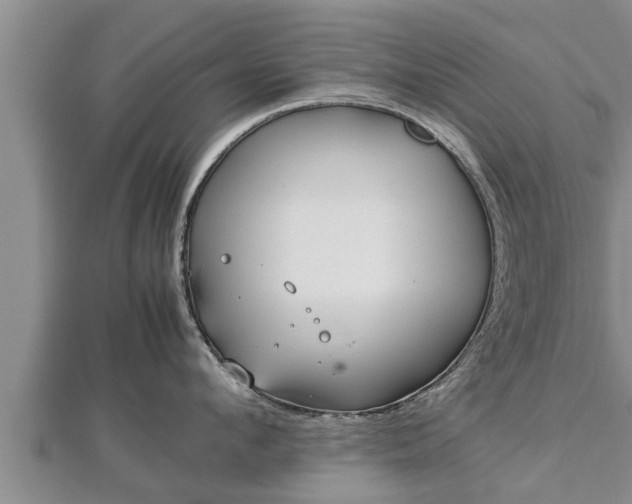 X0000112790912200908281504