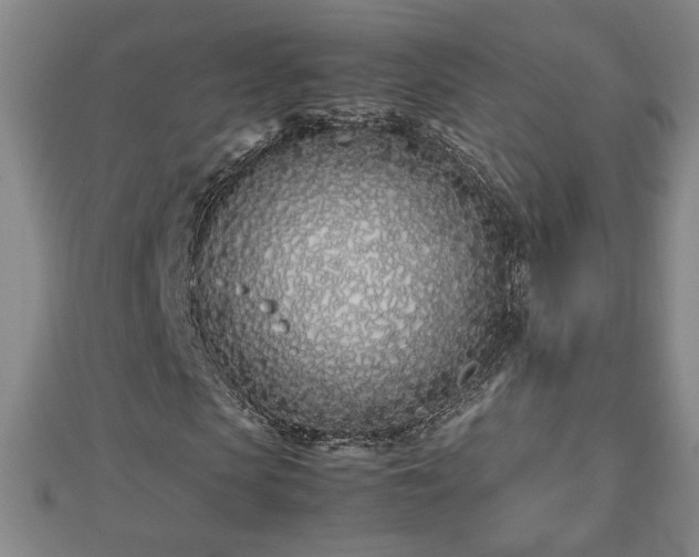 X0000112790913200908281503