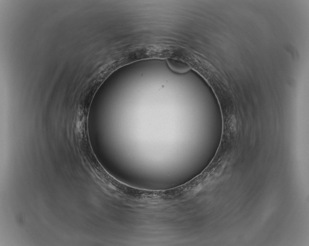 X0000112790914200908281503