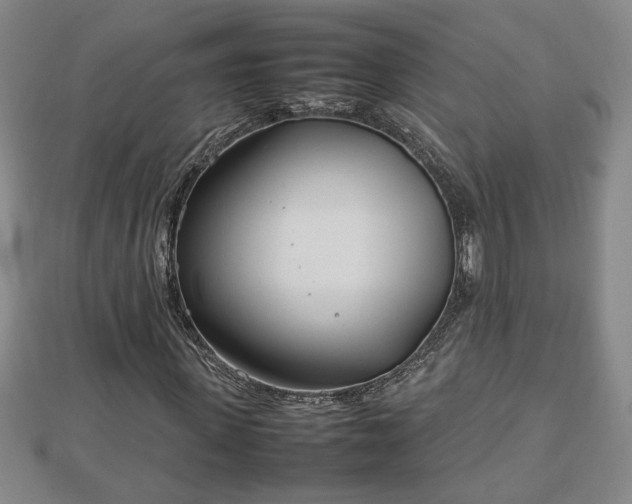 X0000112790915200908281503