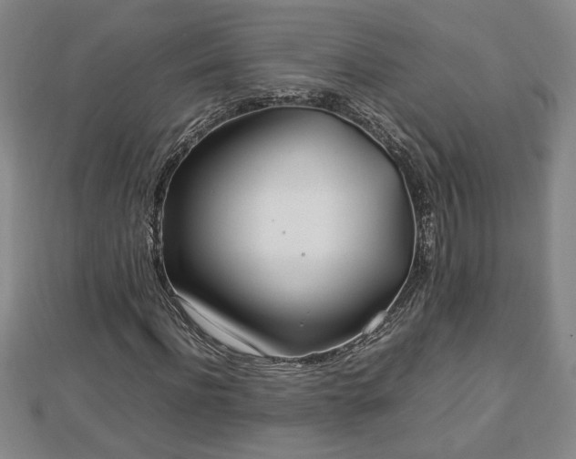 X0000112790916200908281503