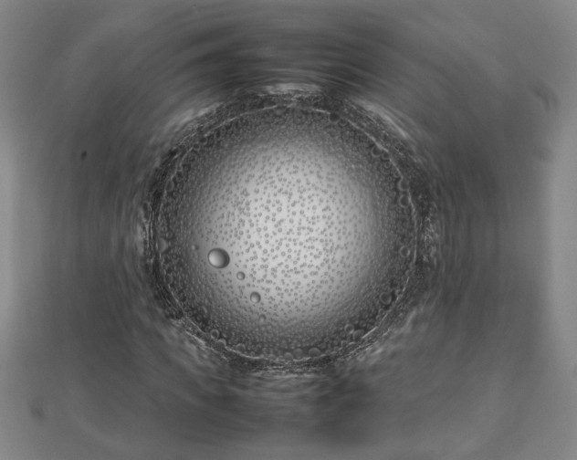 X0000112790917200908281503