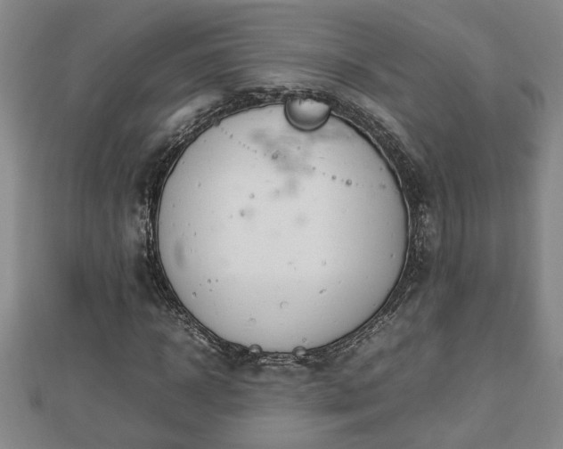 X0000112790918200908281503