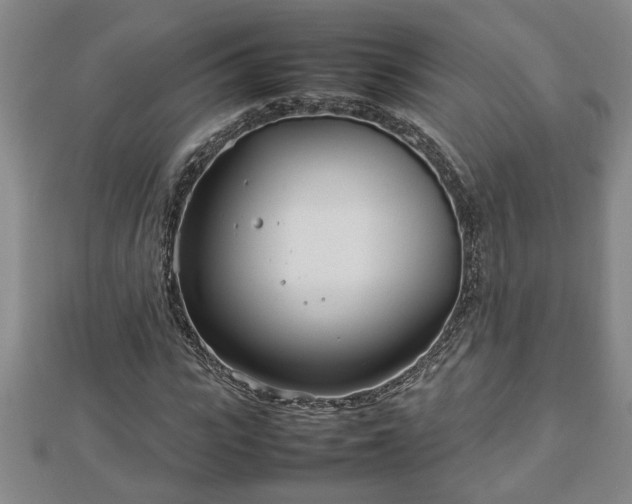 X0000112790919200908281503