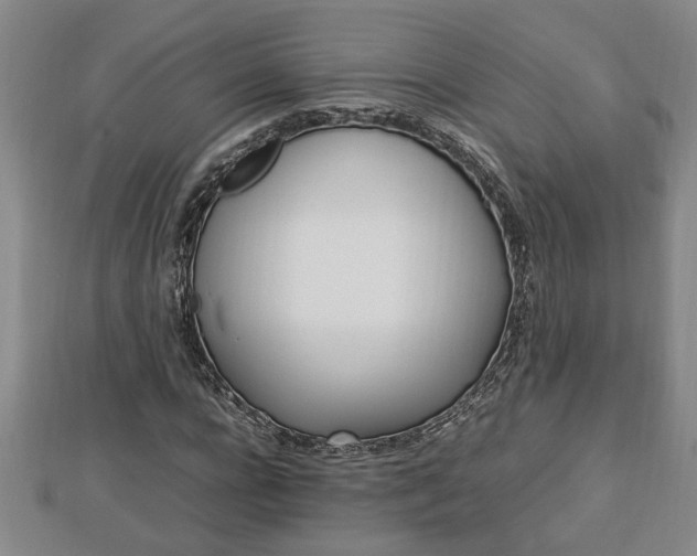 X0000112790920200908281503