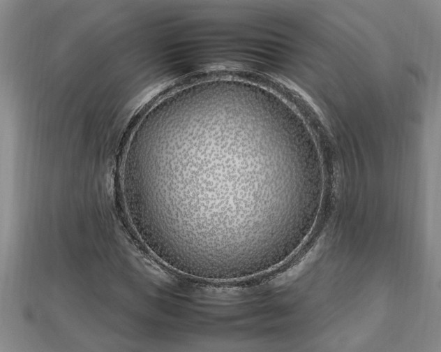 X0000112790921200908281503