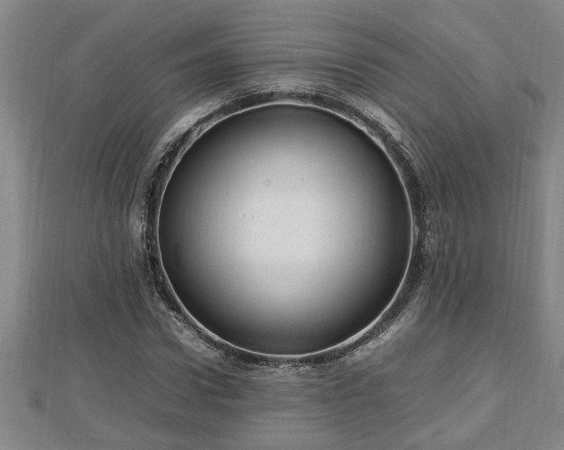 X0000112790922200908281503