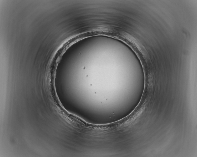 X0000112790923200908281503