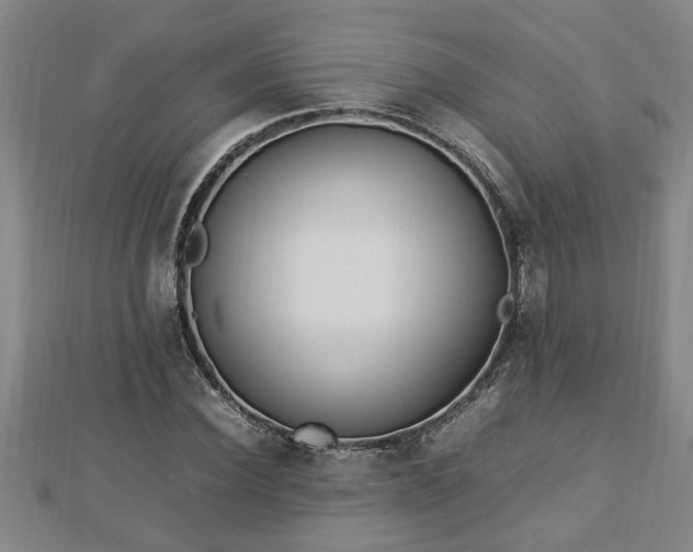 X0000112790924200908281503