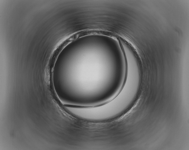 X0000112790925200908281503