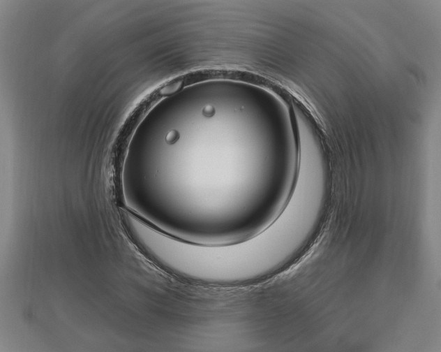 X0000112790926200908281504