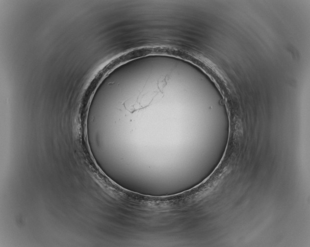 X0000112790927200908281504