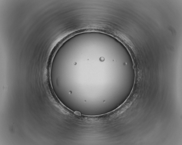 X0000112790928200908281504