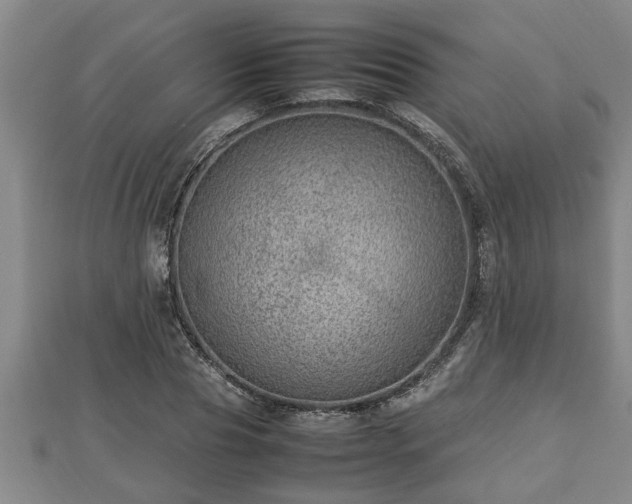 X0000112790929200908281504