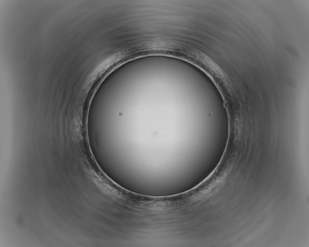 X0000112790930200908281504