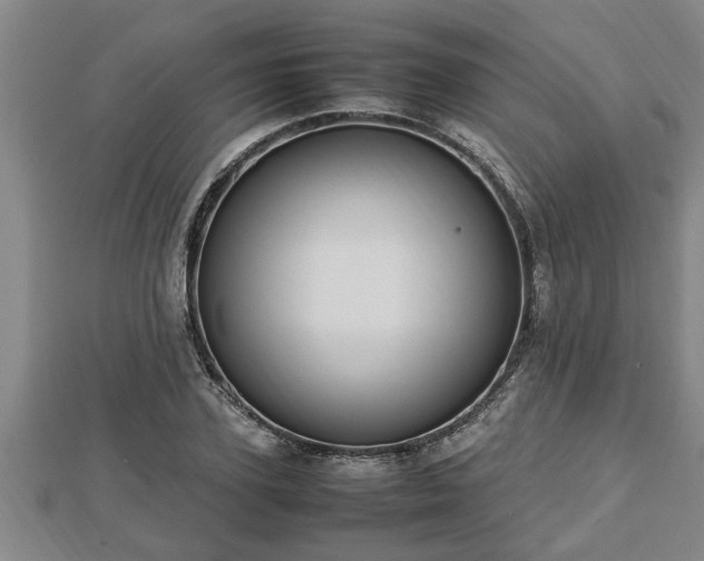 X0000112790931200908281504