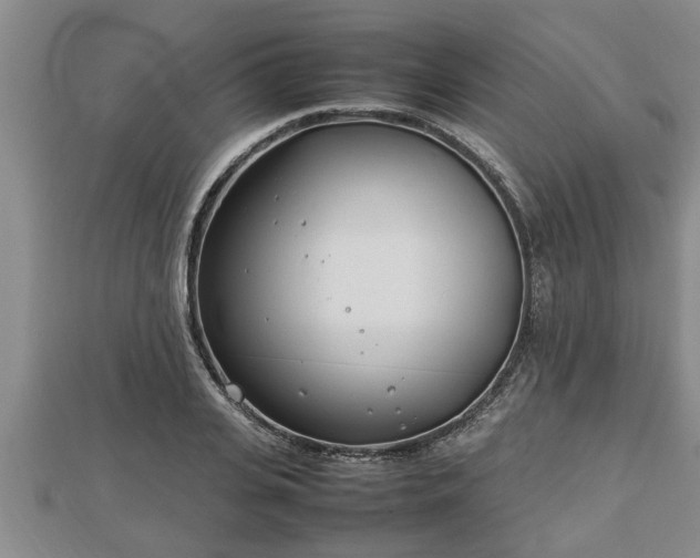 X0000112790935200908281504