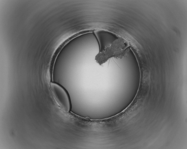 X0000112790936200908281504