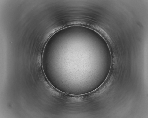 X0000112790937200908281504