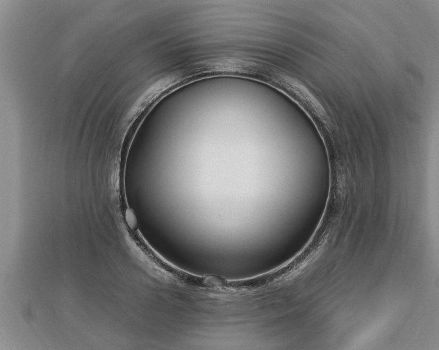 X0000112790938200908281504