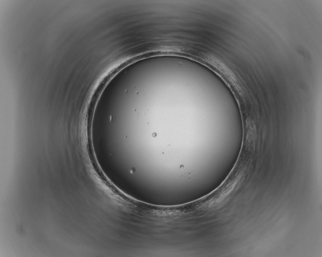 X0000112790939200908281504