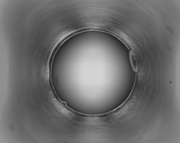 X0000112790940200908281504