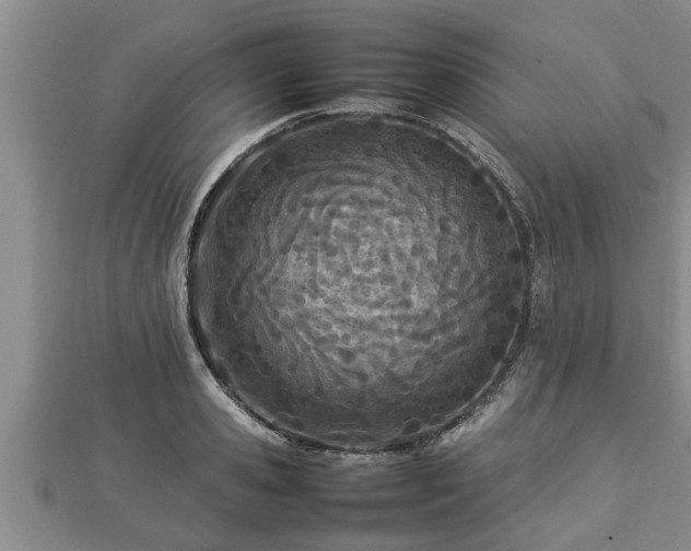 X0000112790941200908281504