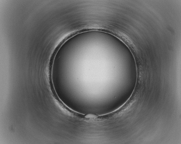 X0000112790942200908281504