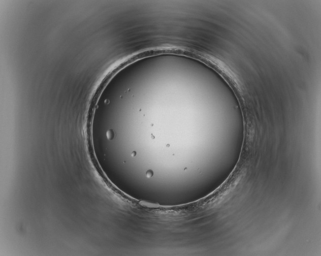 X0000112790943200908281504