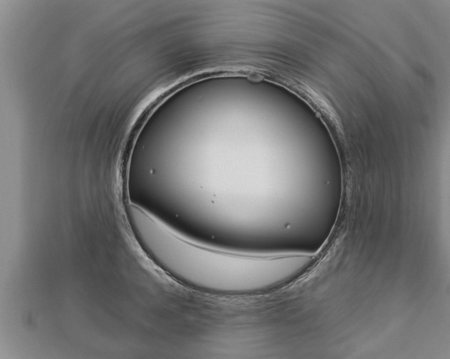 X0000112790944200908281504