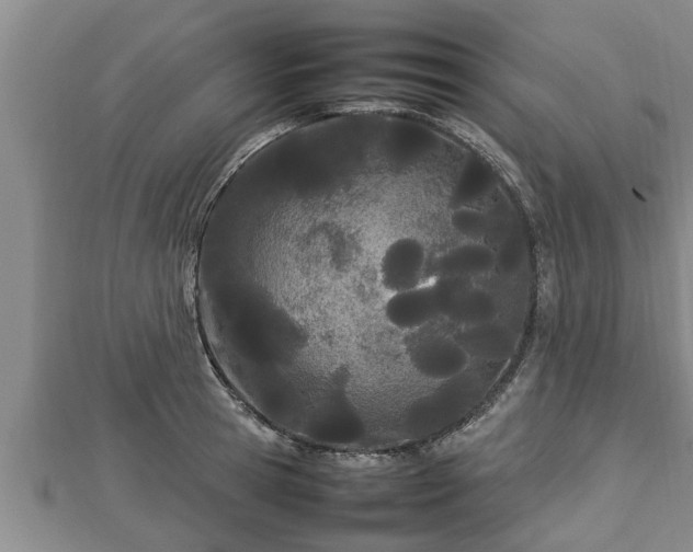 X0000112790945200908281504