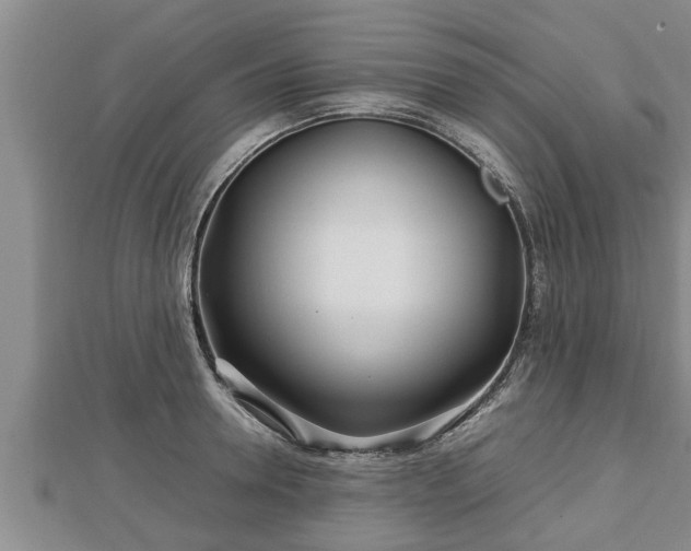 X0000112790946200908281504