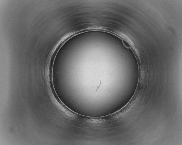 X0000112790947200908281504