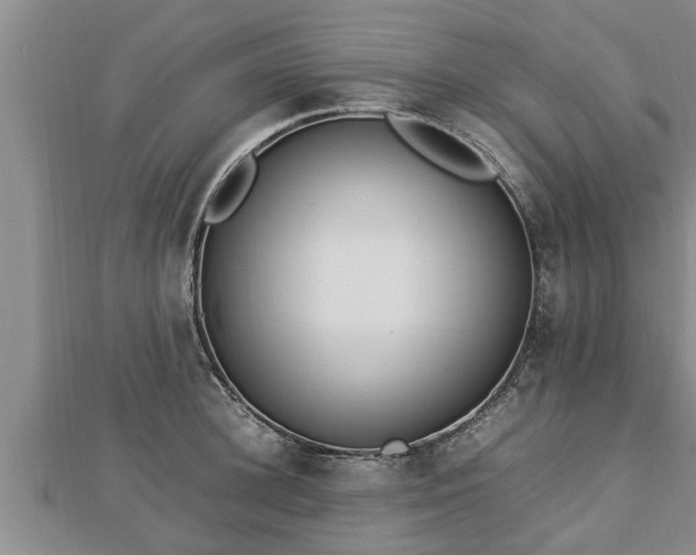 X0000112790948200908281504