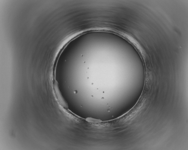 X0000112790951200908281504