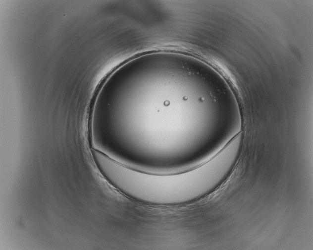 X0000112790952200908281504