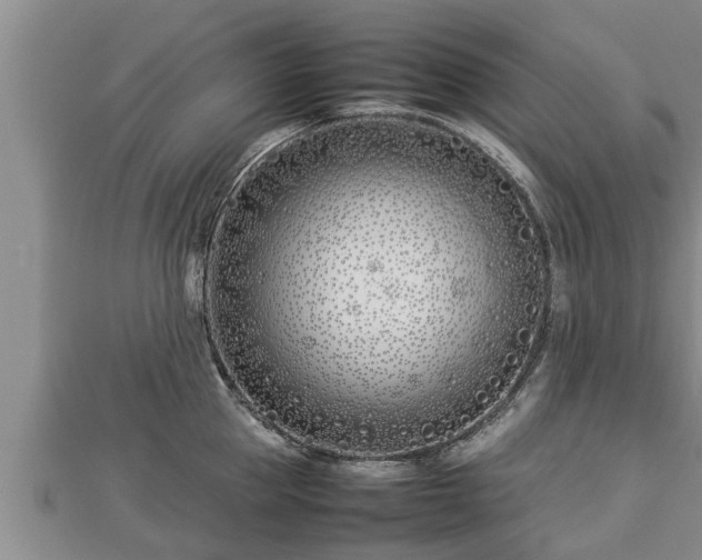 X0000112790953200908281504