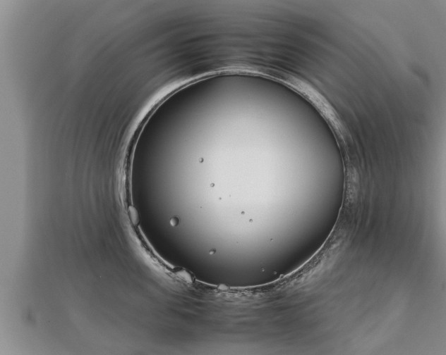 X0000112790955200908281504