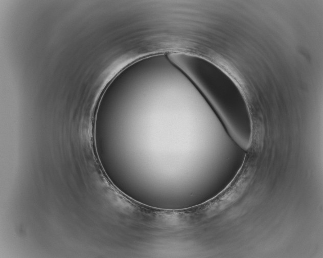 X0000112790956200908281504