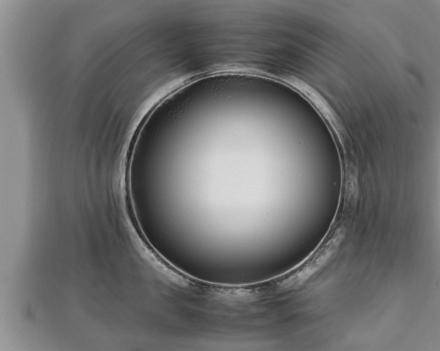 X0000112790957200908281504