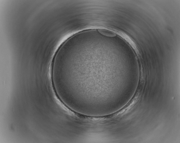 X0000112790958200908281504