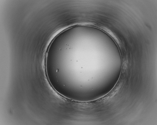 X0000112790959200908281504