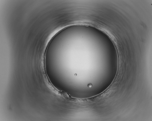 X0000112790960200908281504