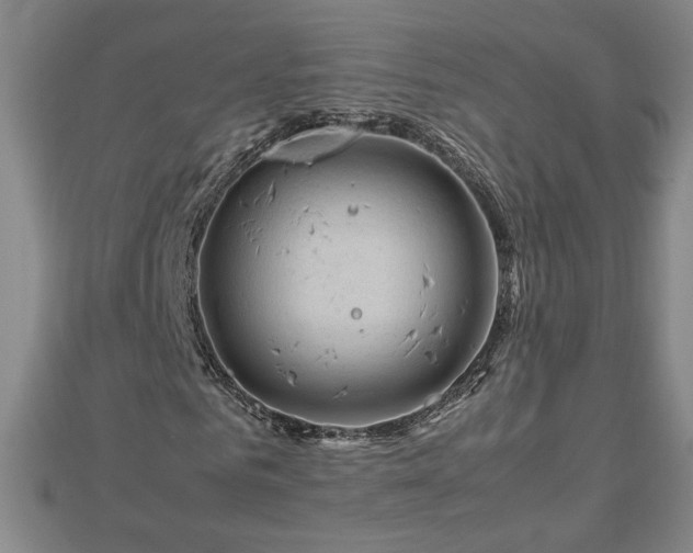 X0000112790961200908281503