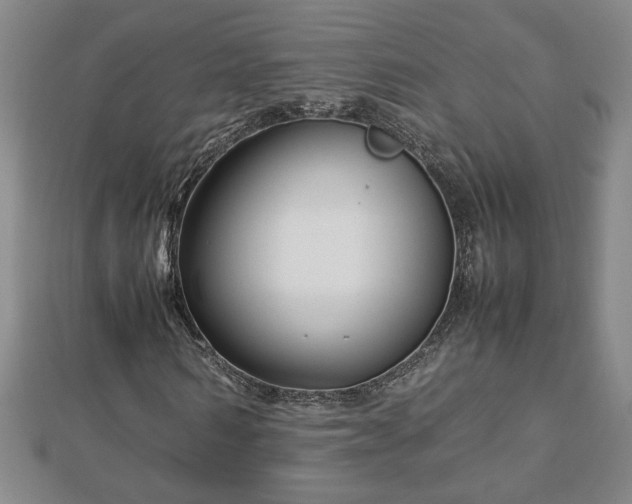 X0000112790962200908281503