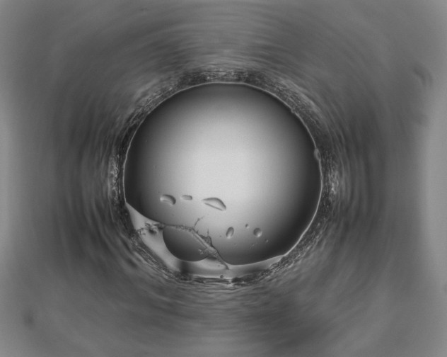 X0000112790964200908281503