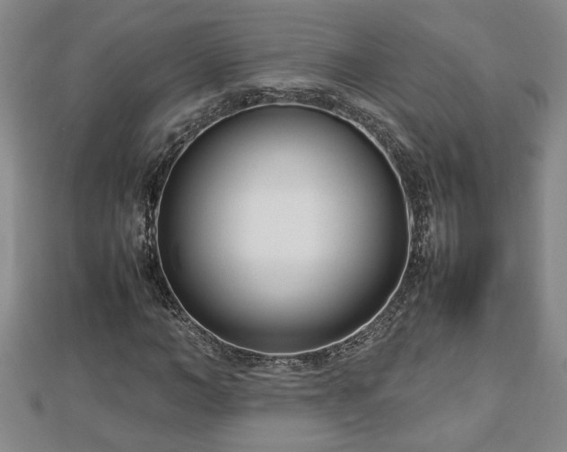 X0000112790966200908281503